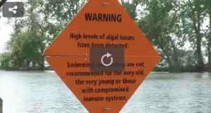 Algae Warning Signs Posted at GLSM